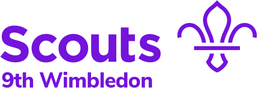 9th Wimbledon Scout Group Website