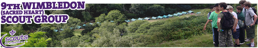 9th Wimbledon Scout Group Website